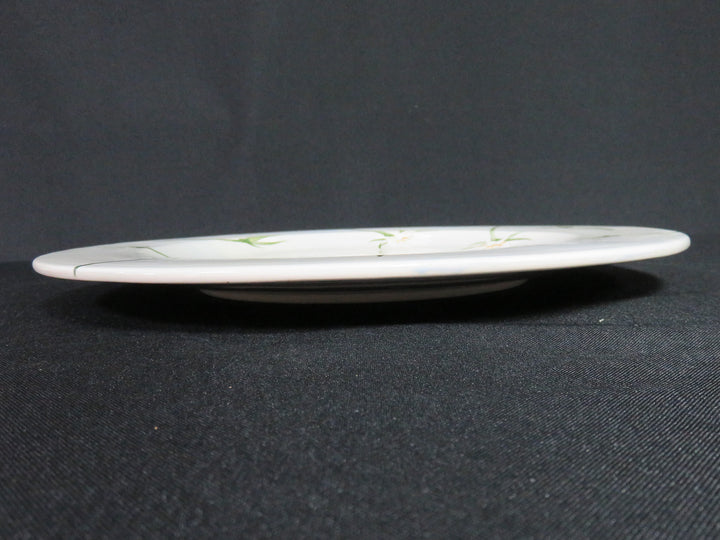 Hand Painted Serving Plate