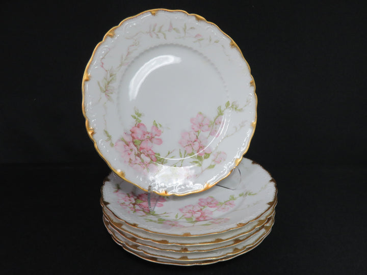 Haviland Plate Set