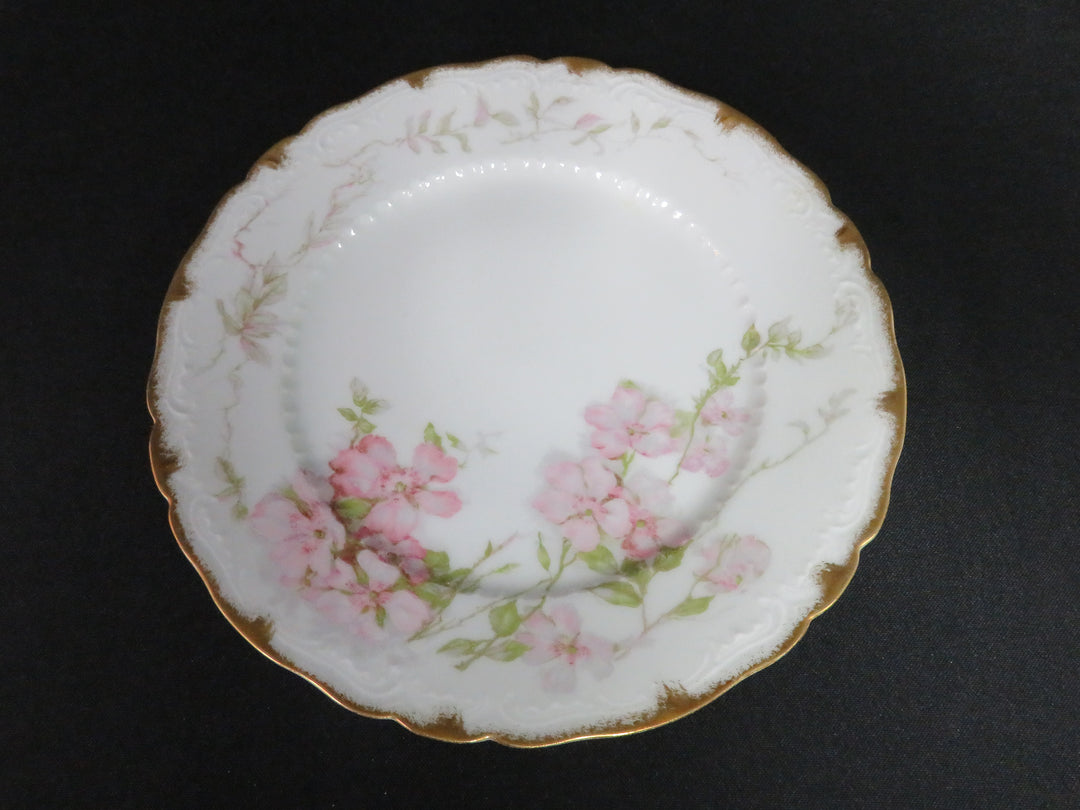 Haviland Plate Set