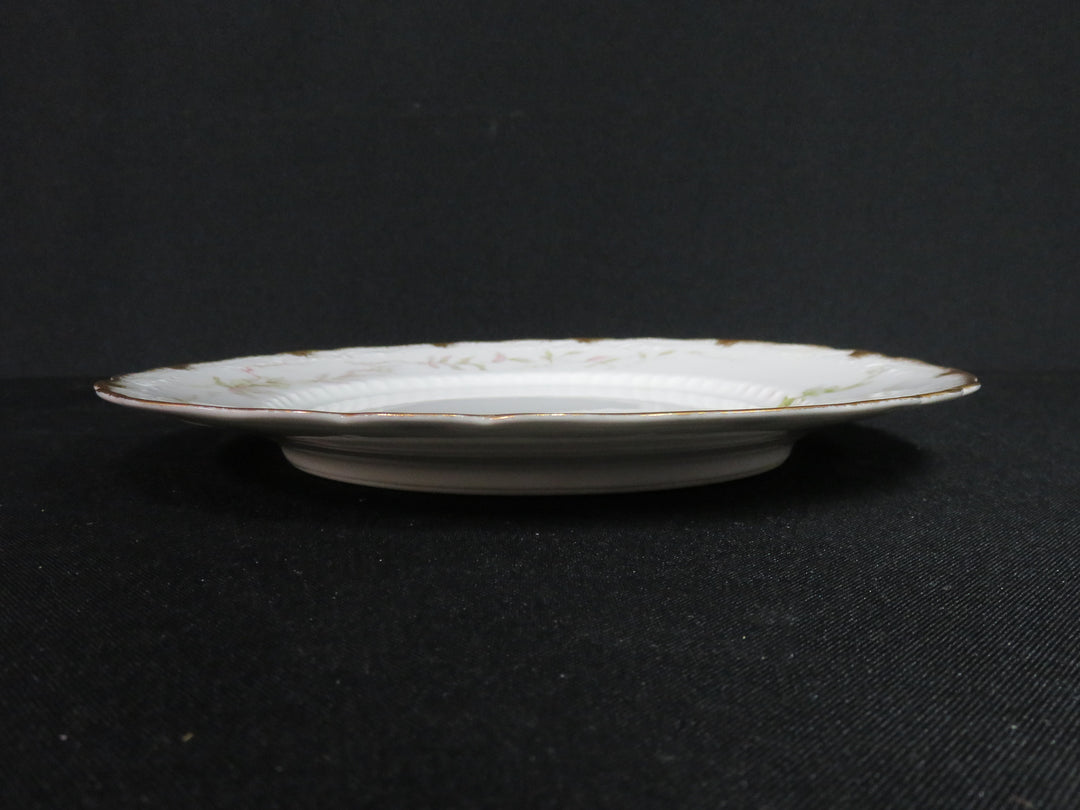 Haviland Plate Set