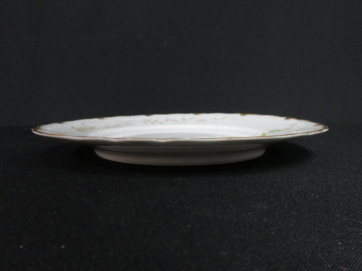 Haviland Plate Set
