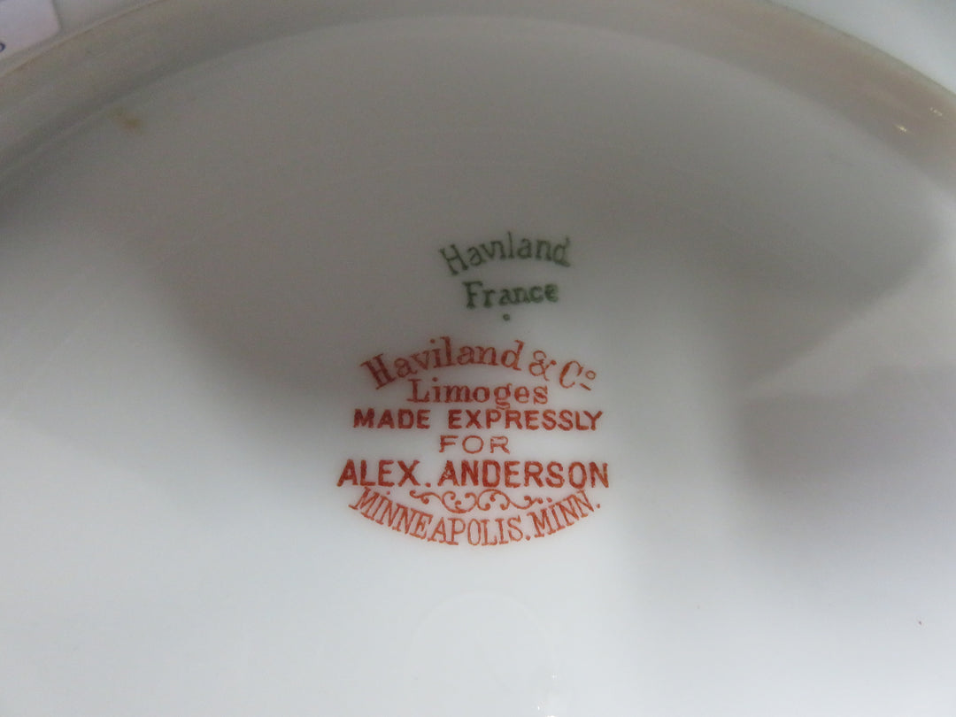 Haviland Plate Set