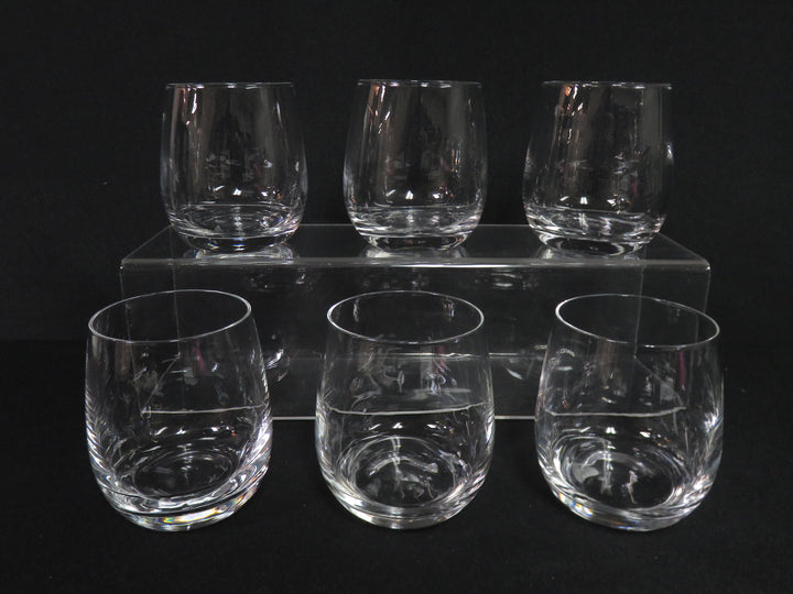 Everyday Tumbler Set