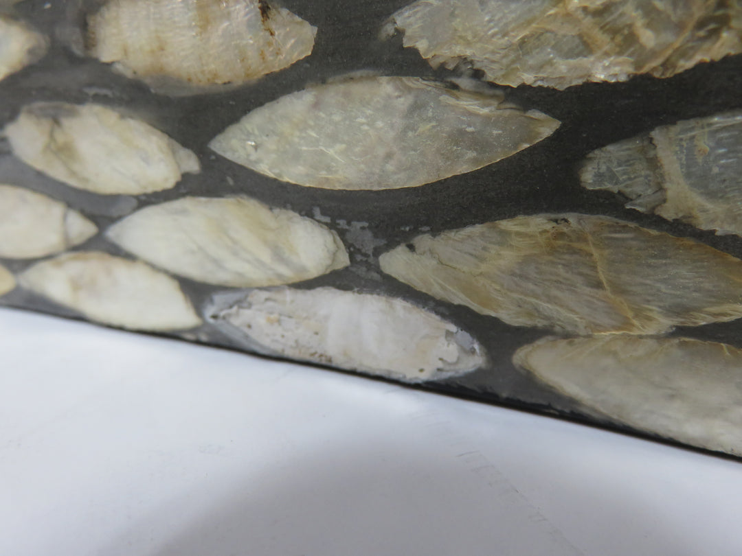 Square Tray