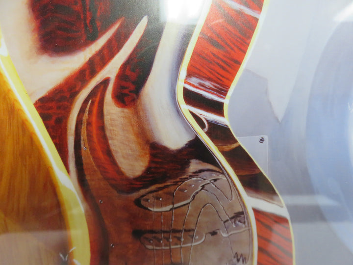 Guitar Photograph