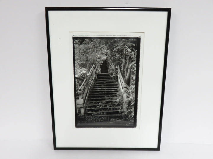 Black and White Photograph