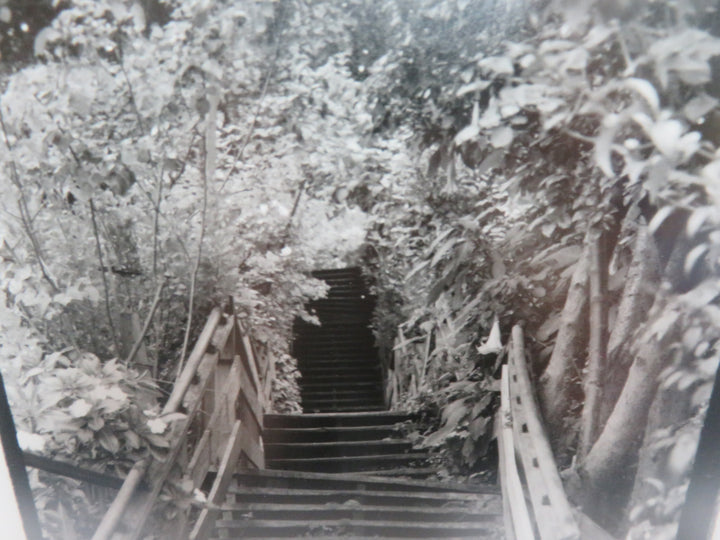 Black and White Photograph