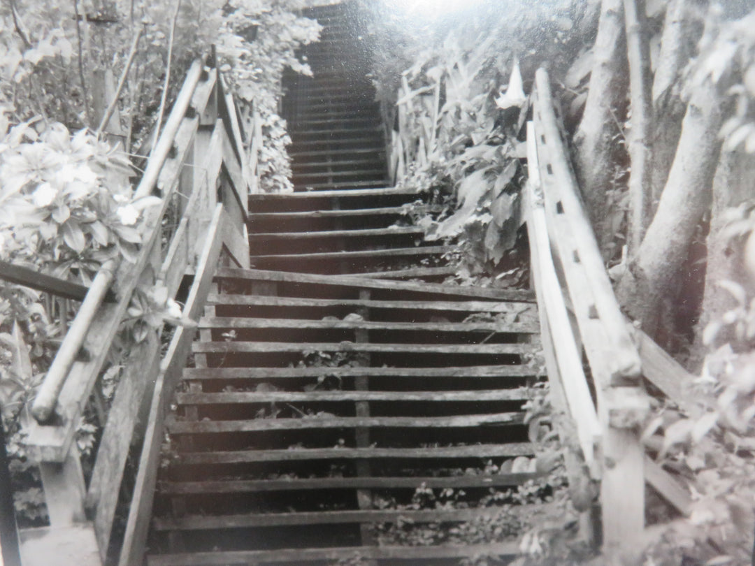 Black and White Photograph