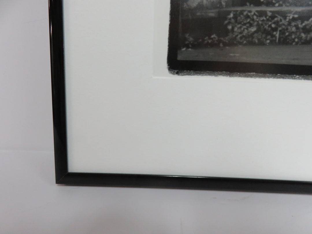 Black and White Photograph