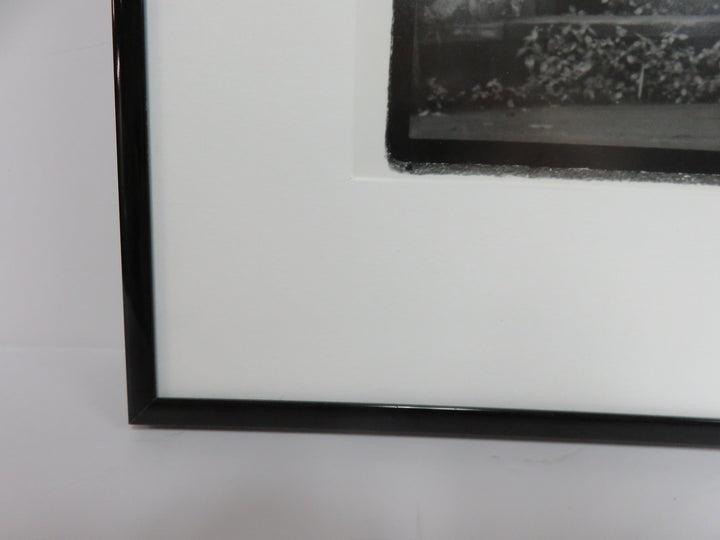 Black and White Photograph