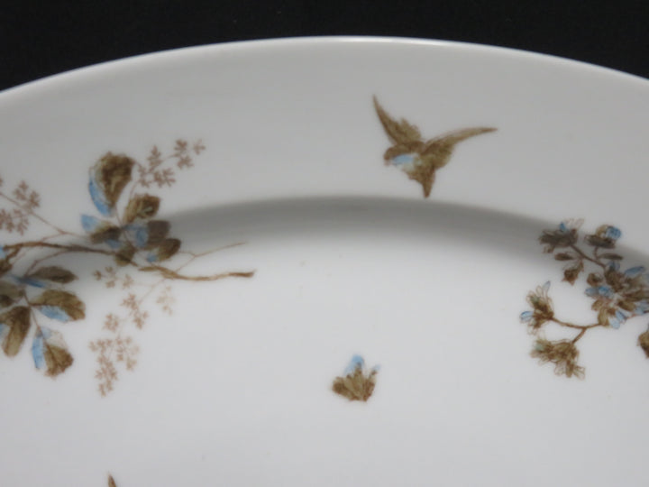 Haviland Platter