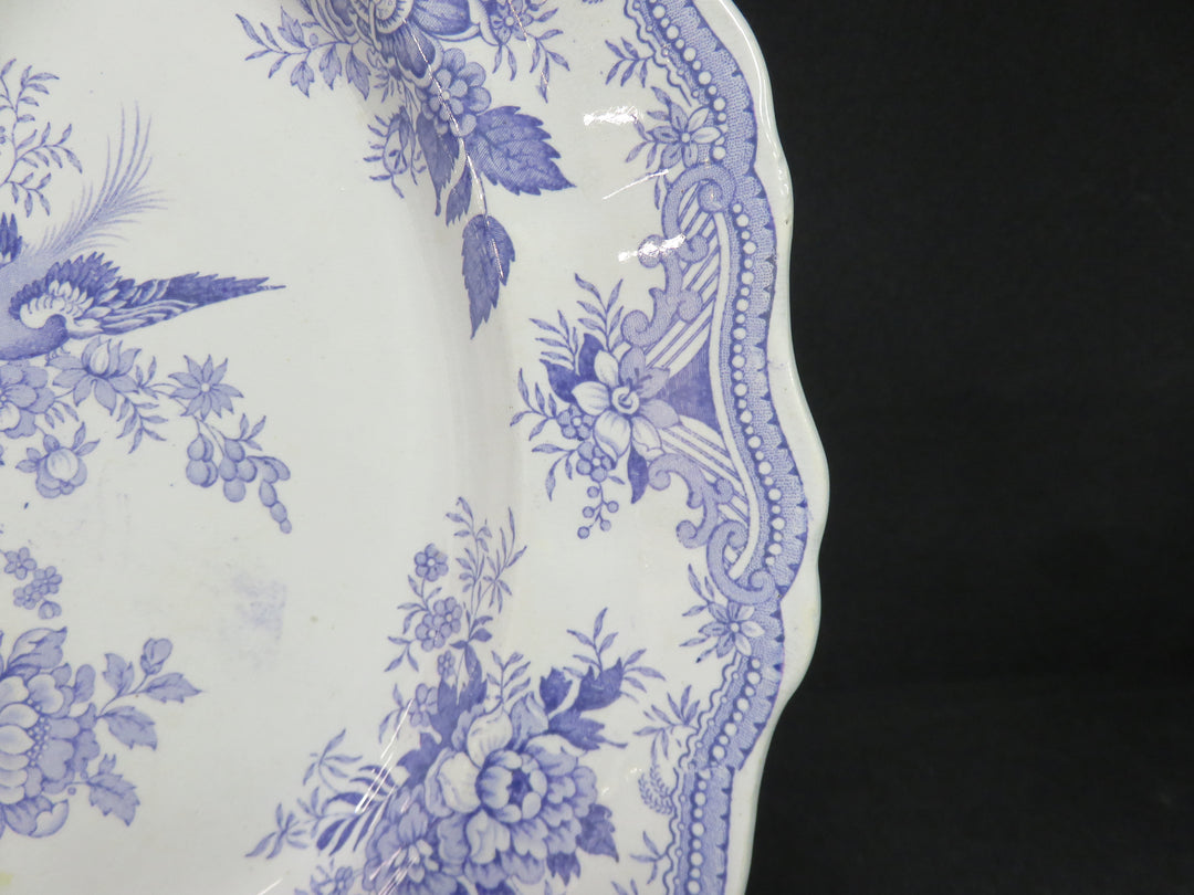 Antique Platter