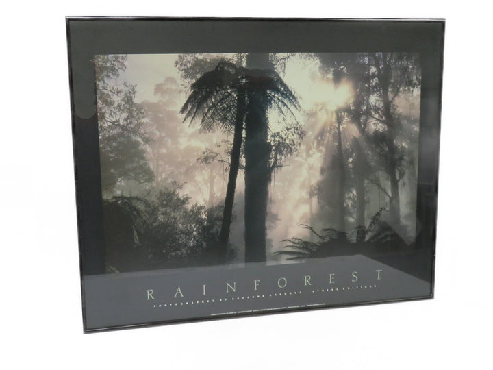 Rain Forest Poster Print
