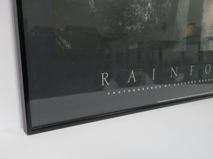 Rain Forest Poster Print