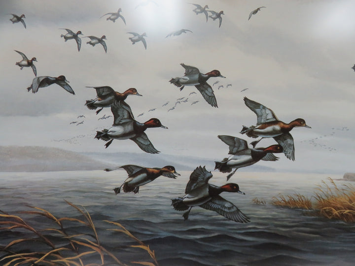 John Eberhardt Duck Print