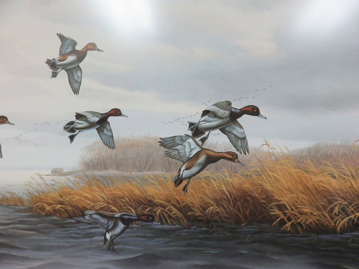 John Eberhardt Duck Print