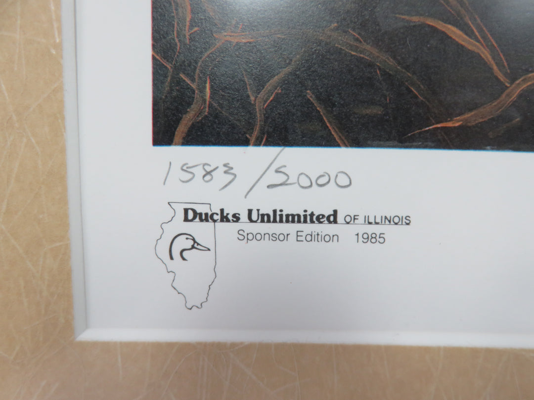 John Eberhardt Duck Print