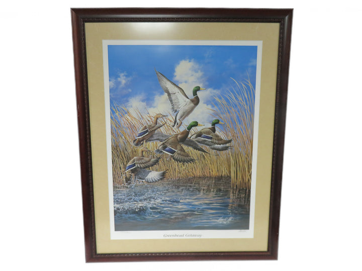 Harold Roe Duck Print