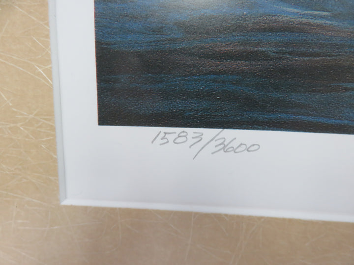 Harold Roe Duck Print
