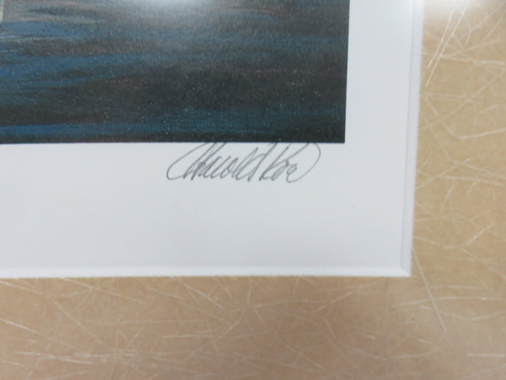 Harold Roe Duck Print
