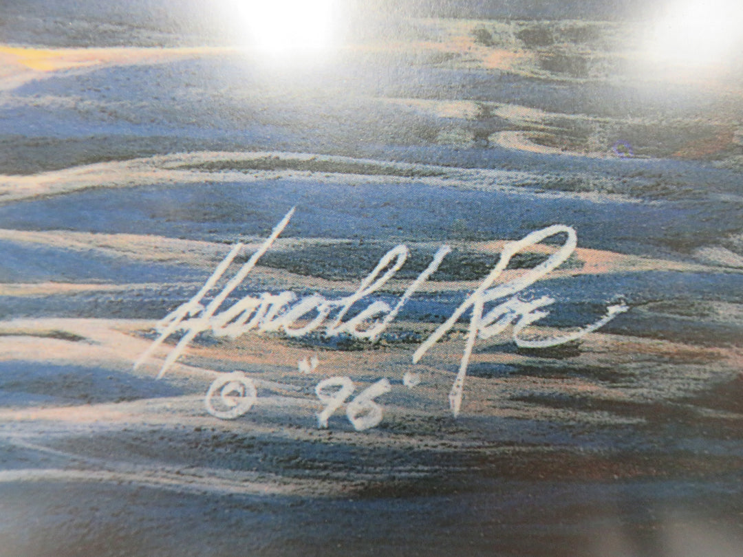 Harold Roe Duck Print