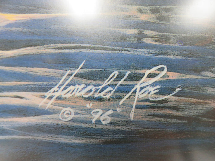 Harold Roe Duck Print