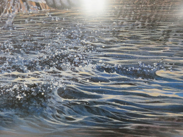 Harold Roe Duck Print