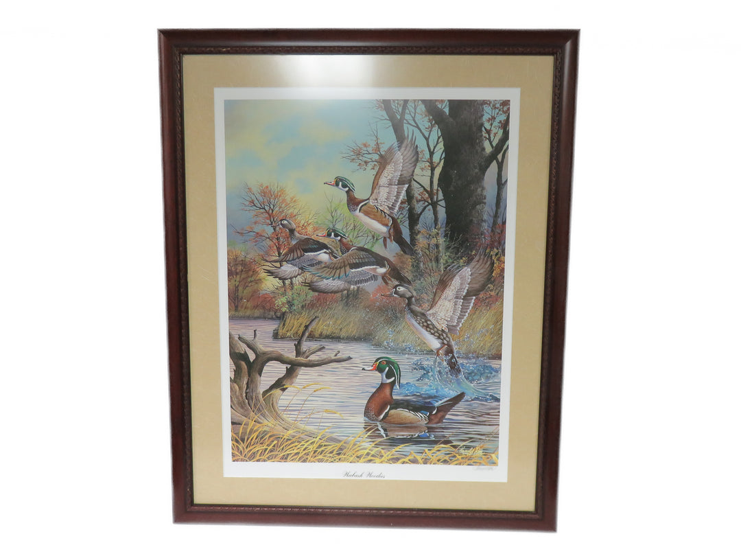 Harold Roe Duck Print