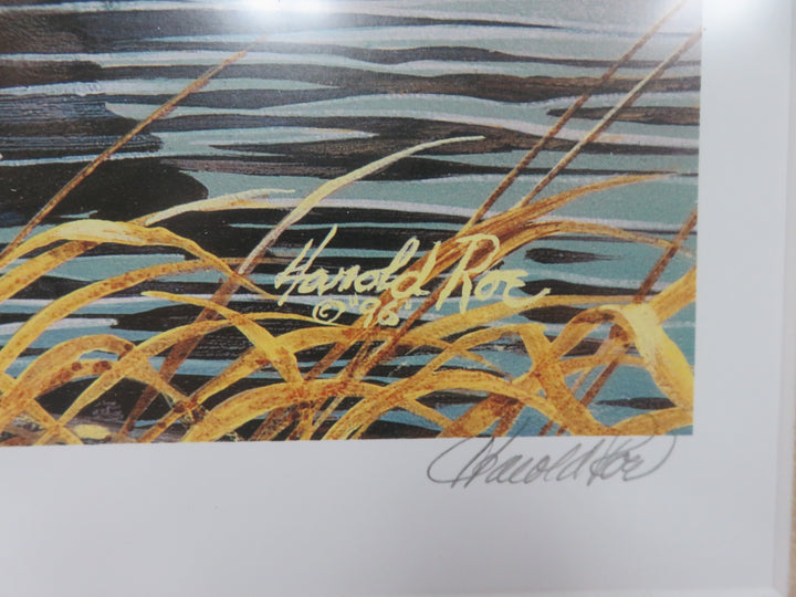 Harold Roe Duck Print
