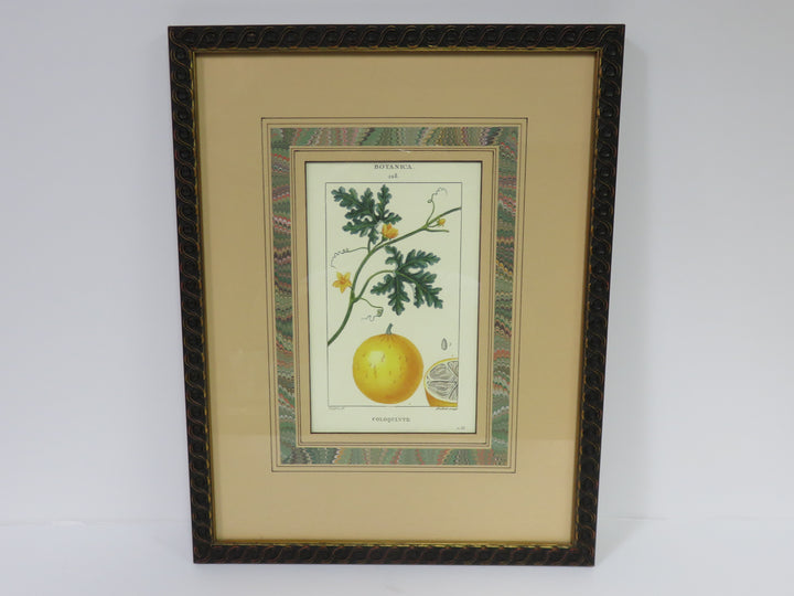 Fruit Print