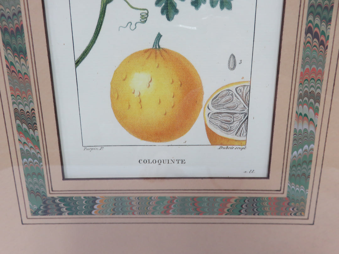 Fruit Print