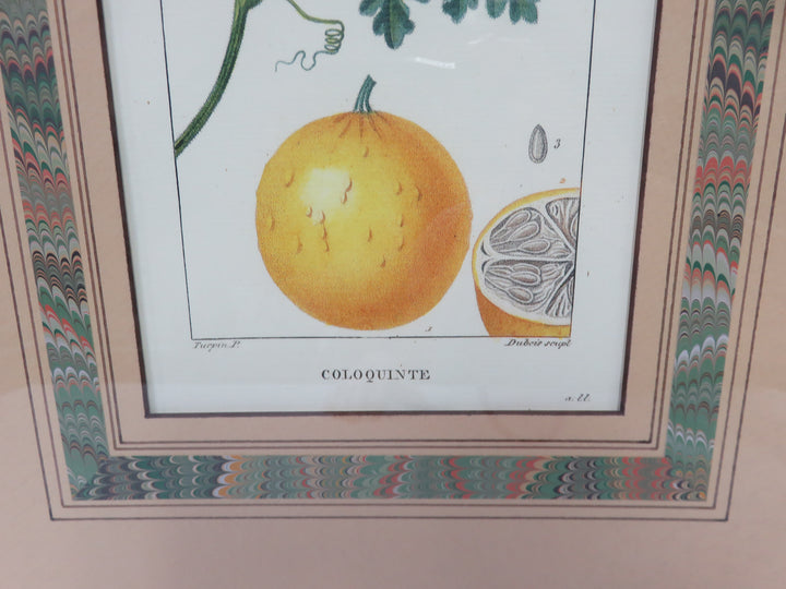 Fruit Print