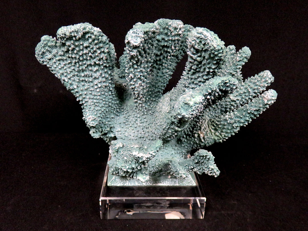 Teal Faux Coral