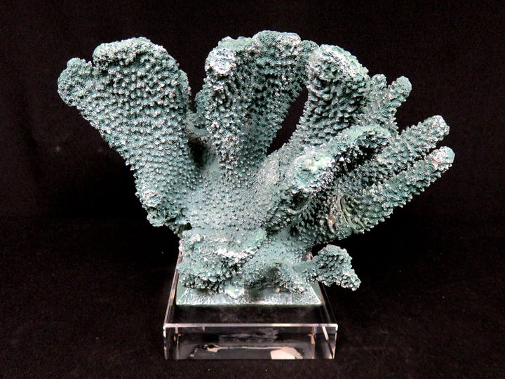 Teal Faux Coral