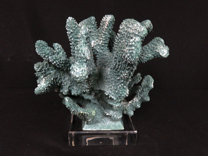 Teal Faux Coral