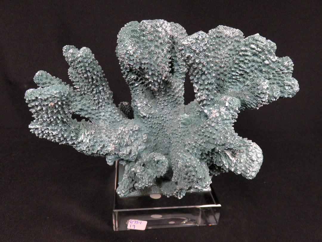 Teal Faux Coral