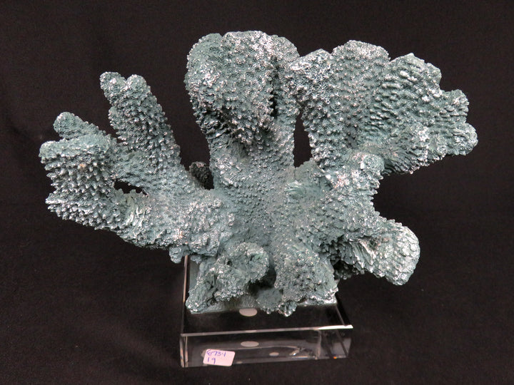 Teal Faux Coral