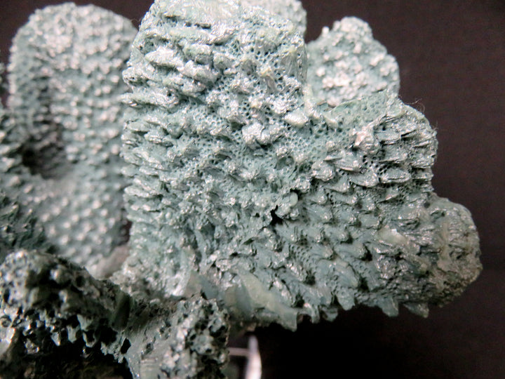 Teal Faux Coral