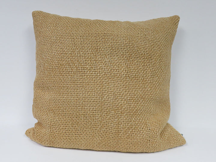 Pottery Barn Throw Pillow