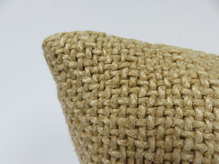 Pottery Barn Throw Pillow