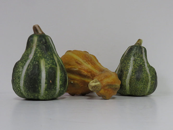 Ceramic Fall Gourds