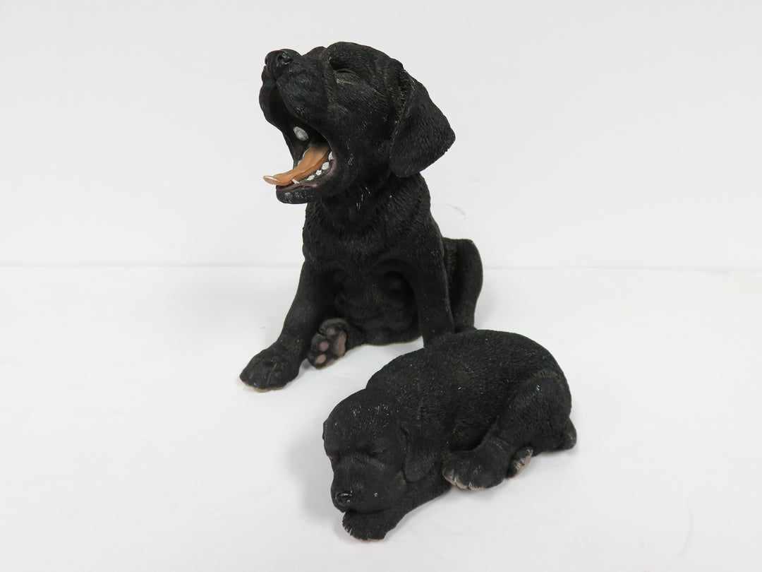 Black Lab Dog and Puppy