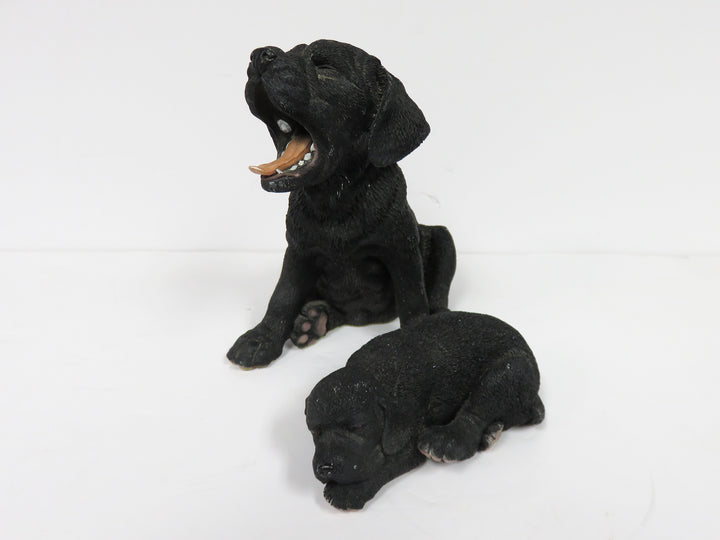 Black Lab Dog and Puppy