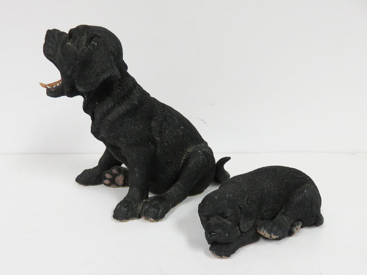 Black Lab Dog and Puppy