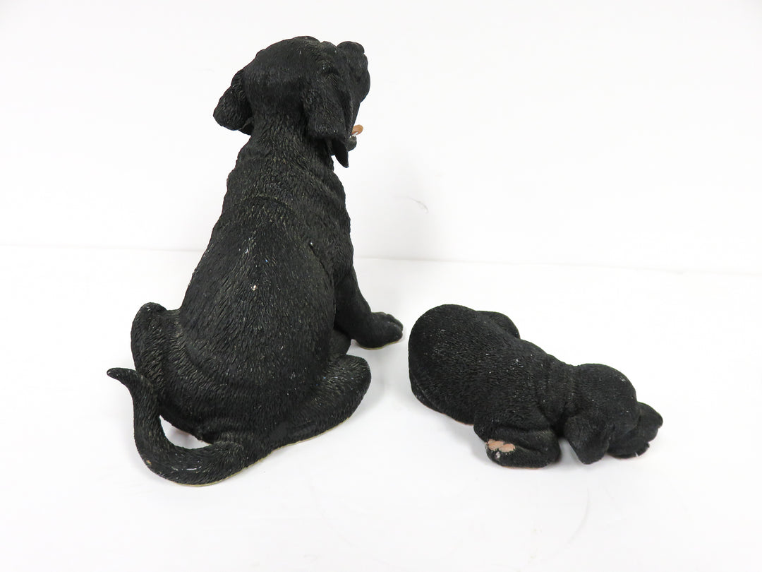 Black Lab Dog and Puppy