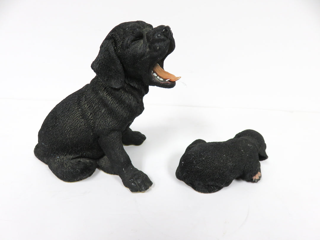 Black Lab Dog and Puppy
