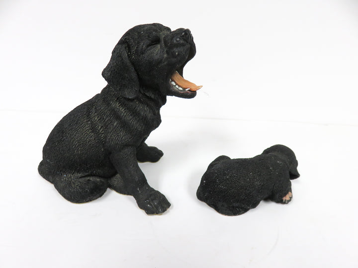 Black Lab Dog and Puppy