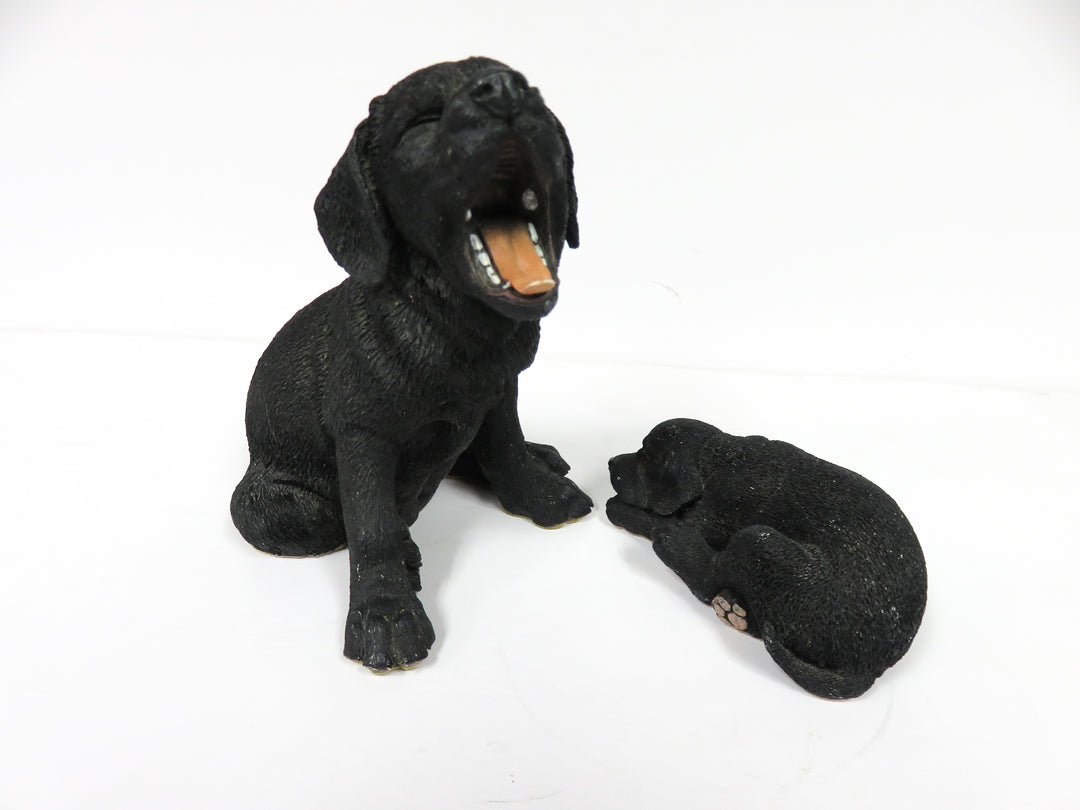 Black Lab Dog and Puppy