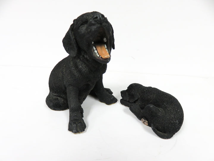 Black Lab Dog and Puppy