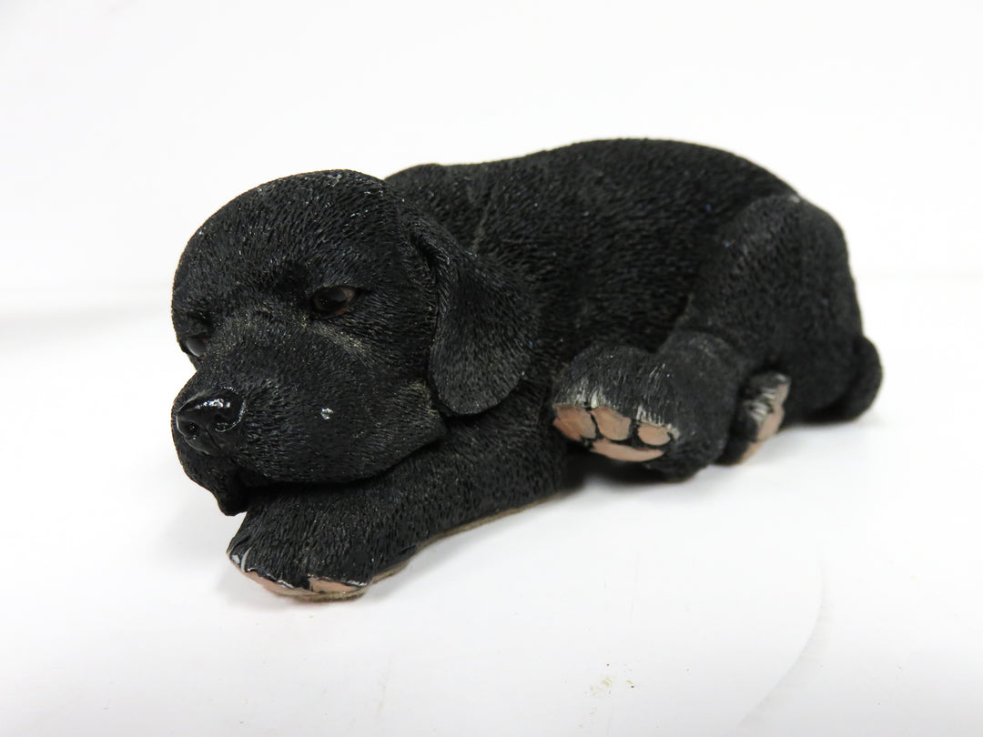 Black Lab Dog and Puppy